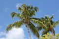 Cruise 2011 040